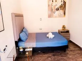 Suite corcel, Paseo Durango