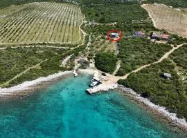 Secluded house with a parking space Cove Zuborovica, Pasman - 24333