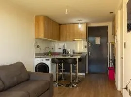 Nuevo Depto 3 camas, vista al estadio y estacionamiento gratis