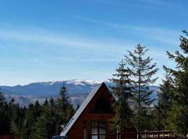 Cabană Panoramic Aframe, hotel v destinaci Dealu Negru