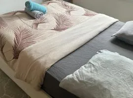 Grand Appartement 5min disneyland