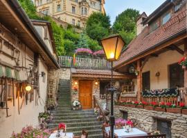 Casa Savri, holiday rental in Sighişoara