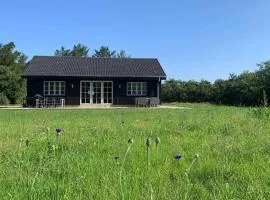 1136-Ringkobing-Hovervej-61