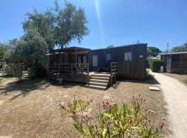 Mobil-Home Premium 6 couchages