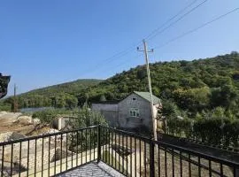 Villa forest and lake
