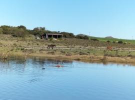 Countryside Container Home、Baardskeerdersbosのファームステイ