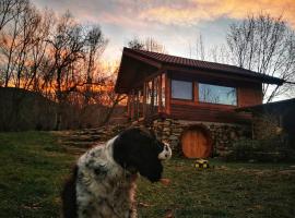 Studio Belvedere, chata v destinaci Mălăeşti