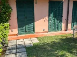Oasi Verde 6