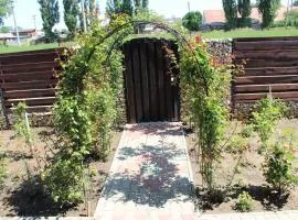 Casa la grig