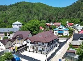 VAIAS Apartamente cu Terasa si Vedere Munte