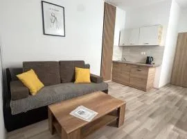 Old Town 2-room apartment, Prime location