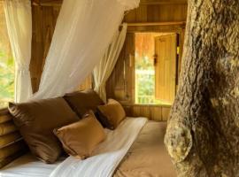 Tree bamboo house, farm stay in Tampaksiring