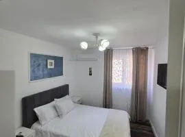 David & Matei Residence