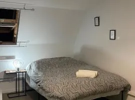 T1 rénové 29 m2 cosy confort !