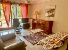 Appartement F2 avec terrasse, parking, ascenseur et WIFI - Animaux acceptés - Amélie-les-Bains - FR-1-703-86