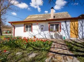 Tiny House Kućica