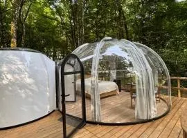 La bulle