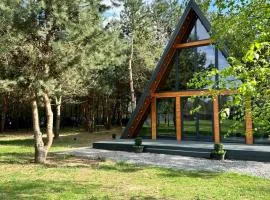 Wonderful Life House