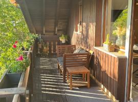 Pension Schmidt - Wipfelblick - Voll ausgestattetes Loft Apartment, viešbutis mieste Hauzernas