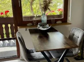 Pension Schmidt - Wipfelblick - Voll ausgestattetes Loft Apartment