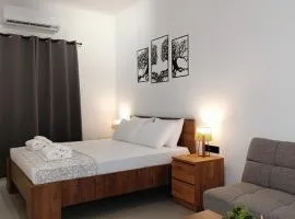 Epsilon Premium Studios
