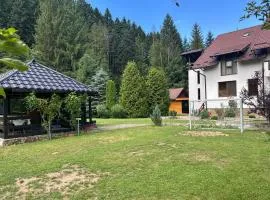 Casa Voroneț
