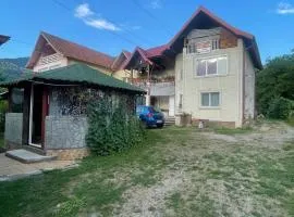 Casa Ioana