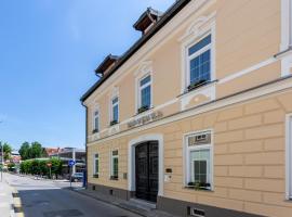 Vila Slovenka: Celje şehrinde bir otel