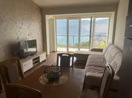 Herceg Novi Sunny Hill Apartment