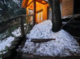 Casa Cabaña de Alquiler Turístico para Vacacionar con Familia o Amigos en San Martin de los Andes Capacidad 6 Personas