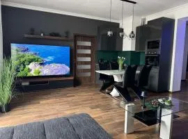 NewPlace Luxury Apartment