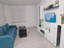Claudiu Blue apartament's 9