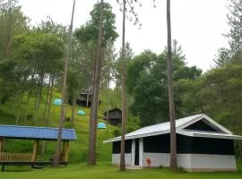 Tribu Cabin