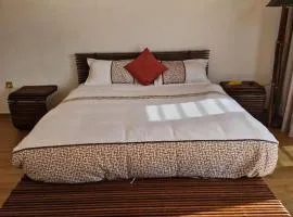Private Room in Luxury Villa Pool Access