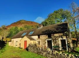 3 Bed in Capel-y-Ffin 93362