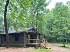 Peaceful, cozy cabin in the woods
