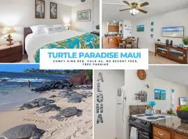 Turtle Paradise - King bed, AC, Across from Beach