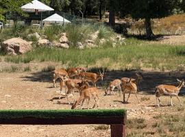 Apartamentos Rurales el Chaparral, hotel v destinaci Arroyo Frio