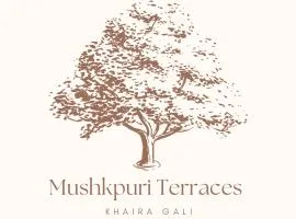 Mushkpuri Terraces - Khaira Gali