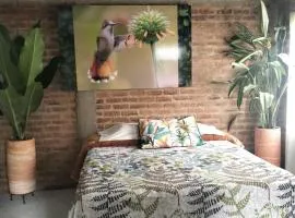 Osprey Ecolodge