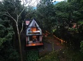 Paraíso da Harmonia