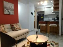 Alojamiento Premium Zona Clínica