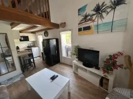 Charmant Duplex Centre Village
