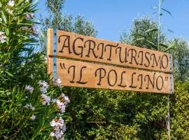 Agriturismo il Pollino