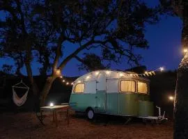 Lost Paradise - Cosy Wagon