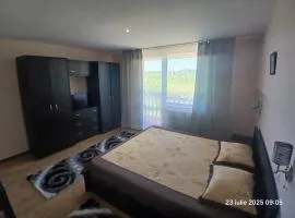 Casa David