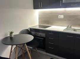 Apartmán "K výstavisku"