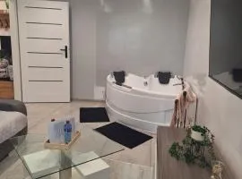 Apartament z jacuzzi w centrum Katowic