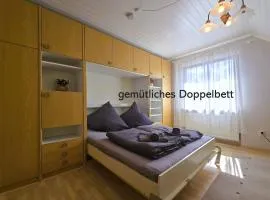 Silbermöwe