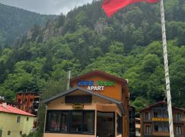 Derepark Apart, Hotel in Uzungöl